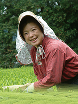 茶畑 母