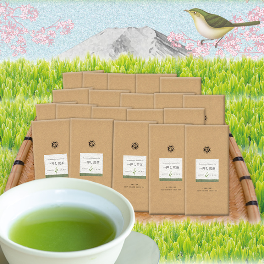 一押し荒茶100g20本セット ポスト投函便送料無料