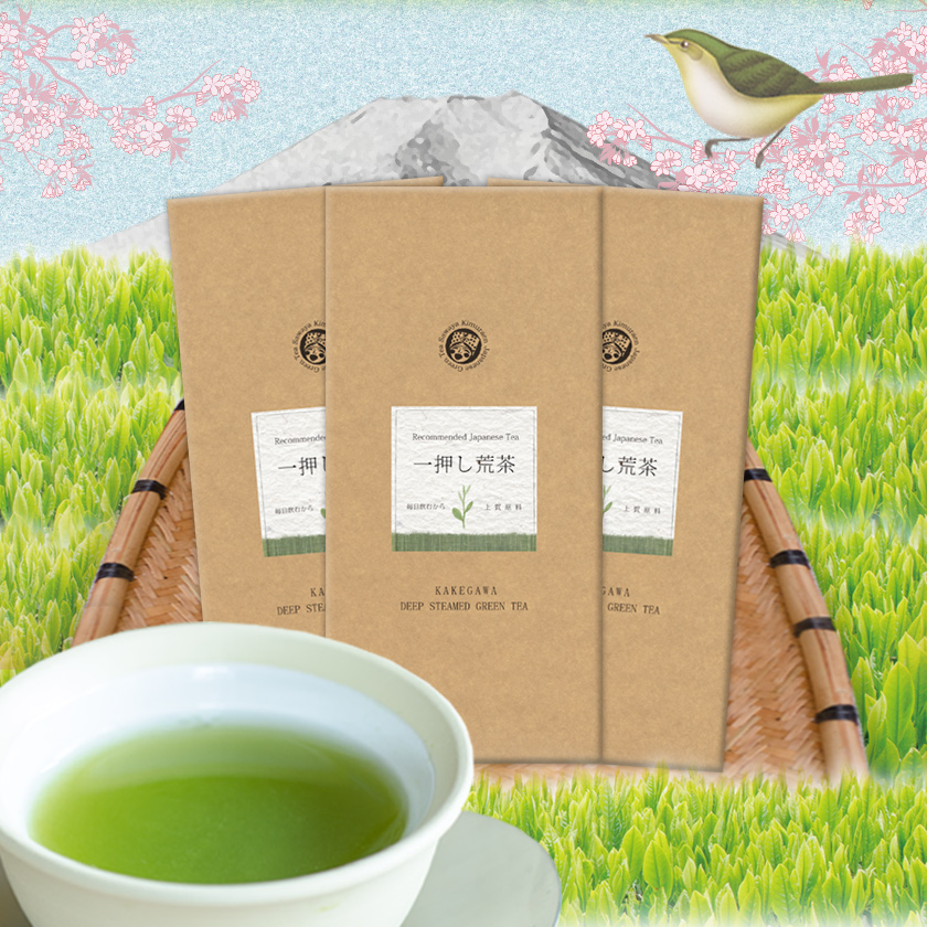 一押し荒茶100g3本セット ポスト投函便送料無料
