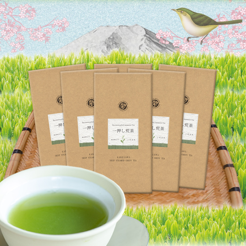 一押し荒茶100g6本セット ポスト投函便送料無料