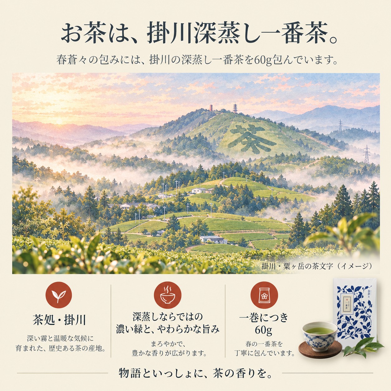 掛川深蒸し一番茶